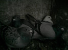 P100113_12.50_[02]