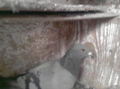 P100113_12.50_[04]