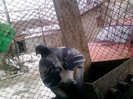 P100113_12.53_[01]
