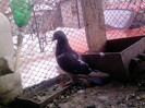 P100113_12.53_[02]