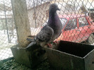 P100113_12.54_[01]