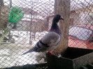 P100113_12.55