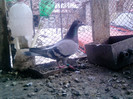 P100113_12.56_[01]