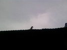 P100113_14.22_[01]