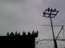 P100113_14.22_[05]