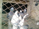P100113_14.22_[06]