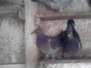 P100113_14.23_[03]