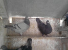 P100113_14.23_[04]