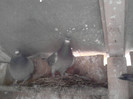P100113_14.23_[06]