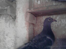 P100113_14.23_[07]