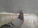 P100113_14.24