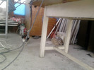P100113_14.25_[01]