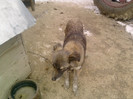 P100113_12.40_[01]