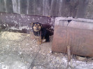 P100113_14.44_[01]