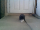 P130110_14.44_[03]