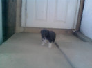 P130110_14.44_[04]