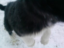 P211212_15.49_[02]