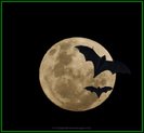 moon_with_bats_DSC3886b