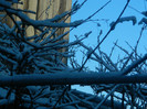 DSCN4023