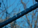 DSCN4027
