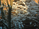 DSCN4028