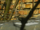 DSCN4043