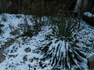 DSCN4075