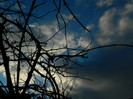 DSCN4078