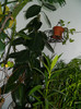 DSCN4117