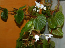 DSCN4126
