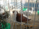 Picture 124