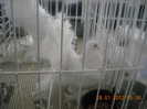 Picture 135