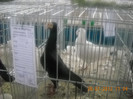 Picture 140