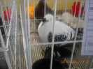 Picture 170