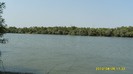 S1051567