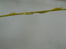 DSCN4133