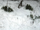 DSCN4136