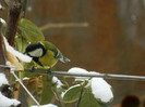 DSCN4146