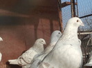 2013-01-11 11.54.06
