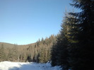 2012-12-31 11.13.17