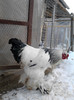 P110113_15.42_[02]