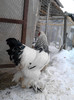 P110113_15.42_[03]