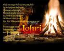 beautiful-happy-lohri-graphic