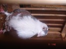 DSC09398