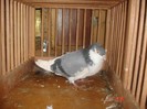DSC09448