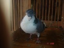 DSC09449