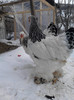 P110113_15.44_[01]