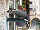 IMG_5767
