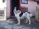 Picture 014