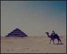 |il ia in brate pe zayn| Nu.ti amintesti mwaa cand ma fugeam in ARABIA.. NU MWAAA NU:((